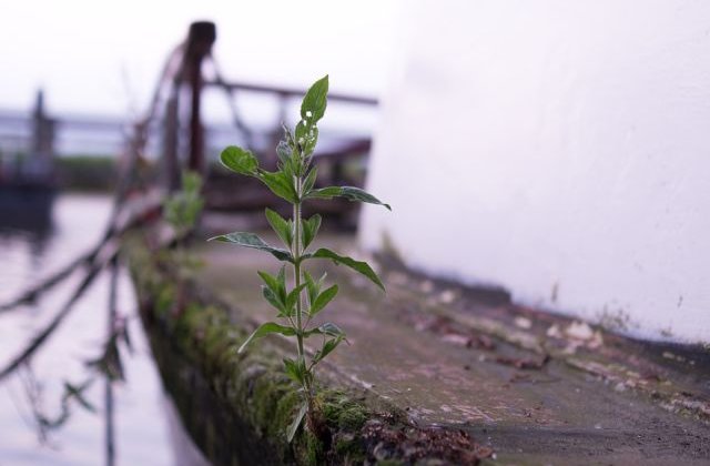 Vas naufragiat in nordul insulei Haiti! Cel putin noua persoane au murit