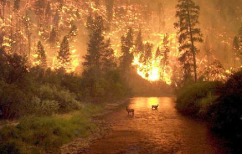 Un intreg oras din Canada, evacuat