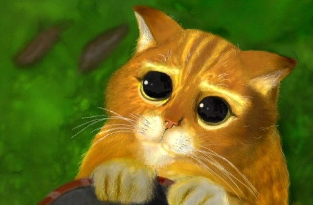 10 scuze pe care le poti folosi atunci cand esti prins dormind la birou