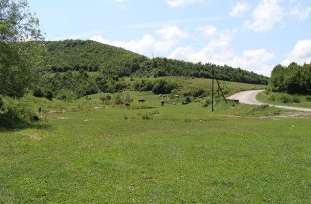 Urmarit international, prins dupa aproape sase ani la o ferma din judetul Giurgiu