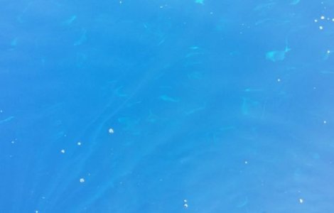 Un pescar a fost salvat dupa ce a plutit doua luni in deriva in Oceanul Pacific