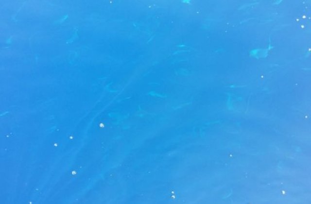 Un pescar a fost salvat dupa ce a plutit doua luni in deriva in Oceanul Pacific