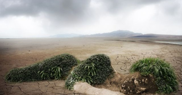  Top  Te pot induce in eroare! Fotografii GENIALE care se joaca cu mintea ta