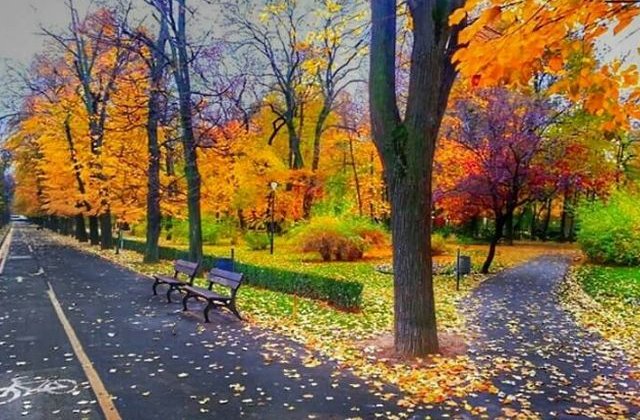 Un tanar fost injunghiat intr-un parc din centrul Capitalei