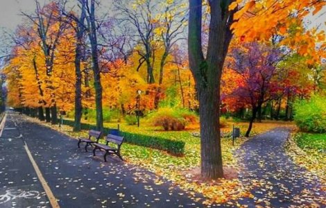 Un tanar fost injunghiat intr-un parc din centrul Capitalei