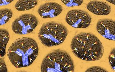 A fost descoperit anticorpul...