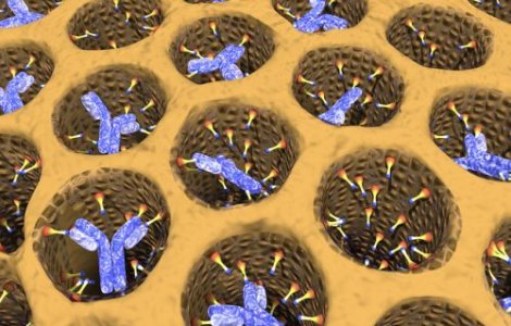 A fost descoperit anticorpul pentru cancer