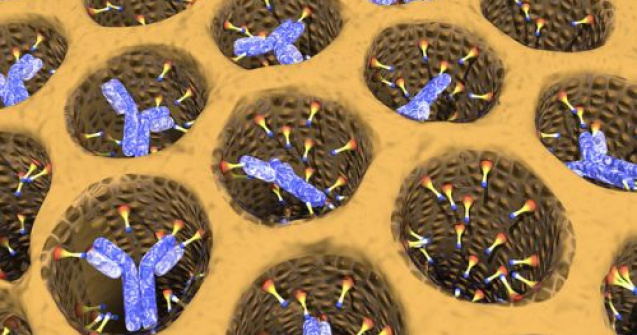 A fost descoperit anticorpul pentru cancer