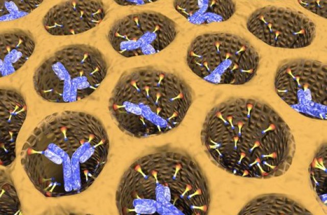 A fost descoperit anticorpul pentru cancer