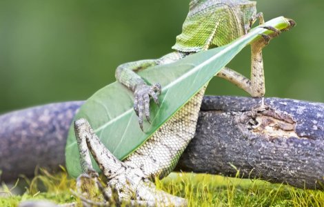  Top  Imagini SUPERBE care nu au suferit nicio modificare in Photoshop