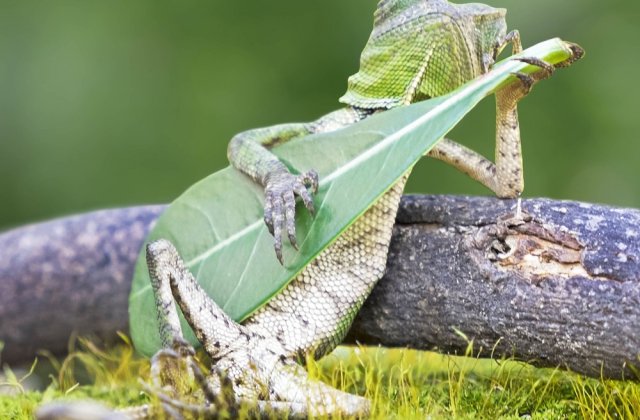 Imagini SUPERBE care nu au suferit nicio modificare in Photoshop