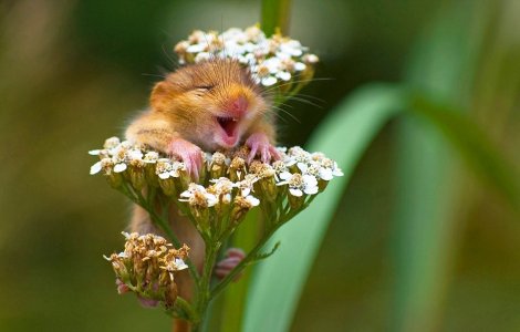  Top  15 fotografii perfecte din orice punct de vedere