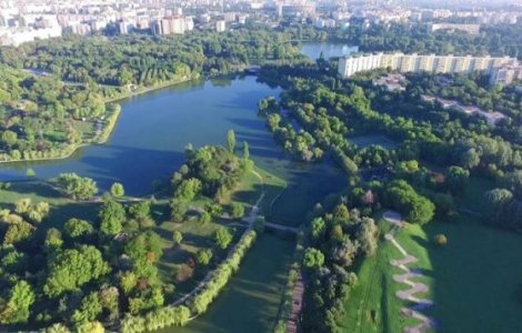 Robert Negoita: Parcul IOR, cu cateva etaje mai sus decat Central Park din New York