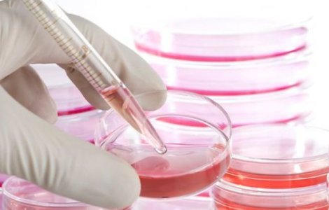 Pacientii romani pot avea acces la celule stem donate de voluntari din strainatate