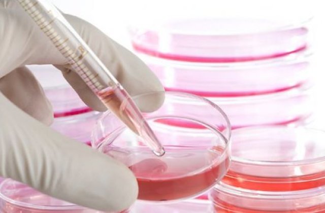 Pacientii romani pot avea acces la celule stem donate de voluntari din strainatate