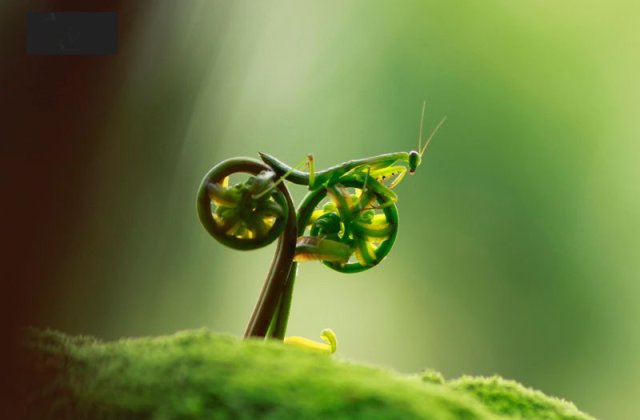 Fotografii INCREDIBILE facute la momentul potrivit