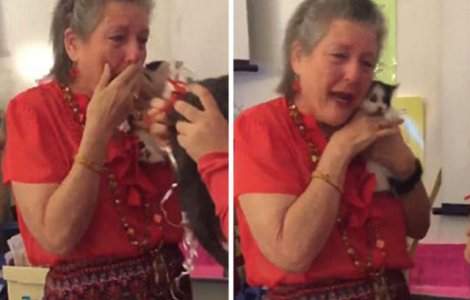 Elevii i-au facut o surpriza profesoarei dupa ce pisica ei a decedat