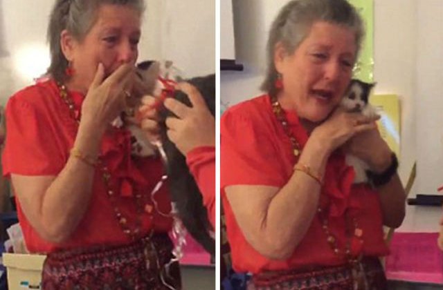 [VIDEO] Acesti elevi i-au facut o surpriza induiesatoare profesoarei dupa ce pisica ei a decedat