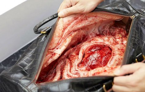 Campanie socanta PETA: adevarul din spatele produselor din piele