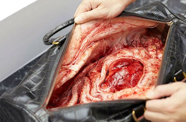 Campanie socanta PETA: adevarul din spatele produselor de lux din piele