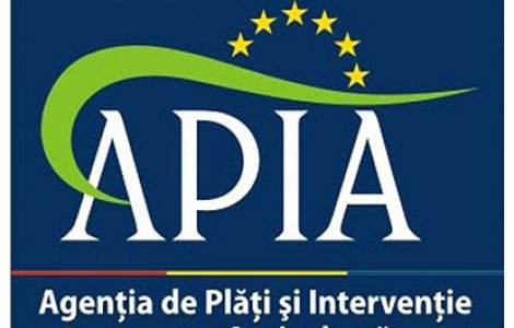 Primar argesean, condamnat definitiv dupa ce a depus acte false