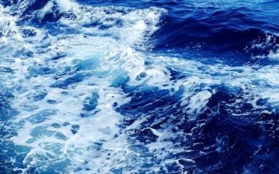 Din capcanele marilor si...