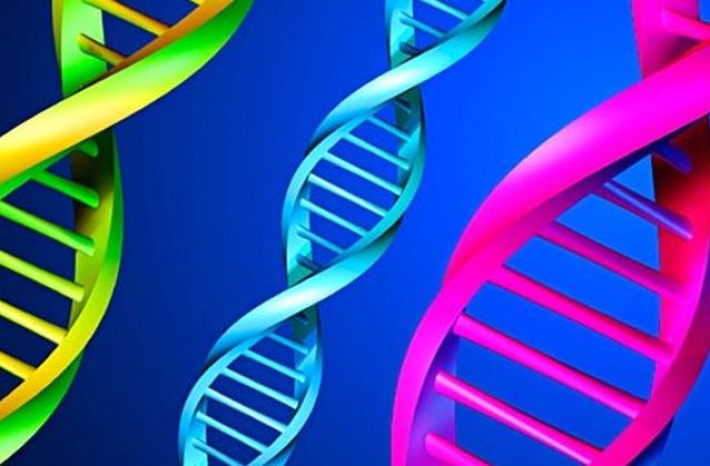 Este permis sa ne selectam si editam genetic copiii?