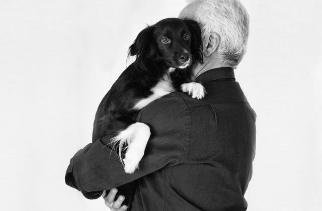 Din avantajele detinerii unui animal de companie: Ce efecte are asupra sanatatii stapanului