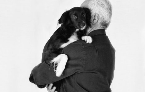  Top  Din avantajele detinerii unui animal de companie: Ce efecte are asupra sanatatii stapanului