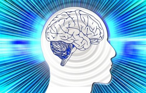 Regenerarea creierului pacientilor care sunt in moarte clinica ar putea fi posibila