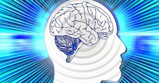 Regenerarea creierului pacientilor care sunt in moarte clinica ar putea fi posibila