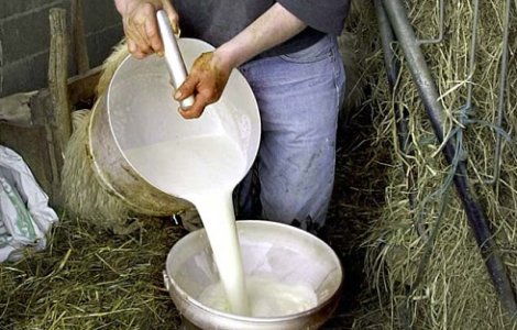 Producatorii romani, nevoiti sa arunce laptele produs