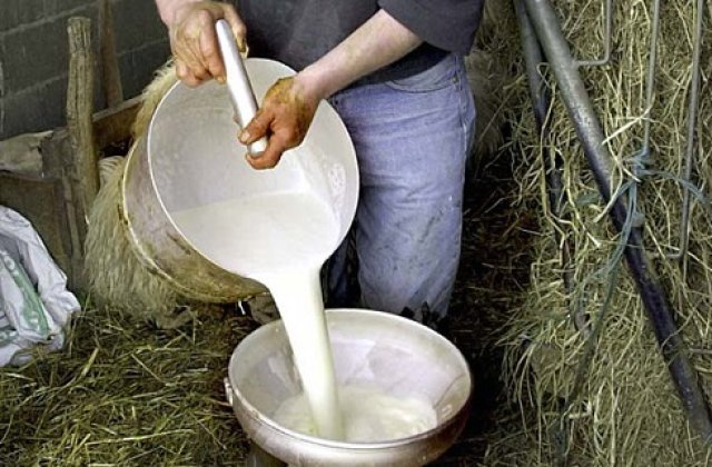 Producatorii romani, nevoiti sa arunce laptele produs