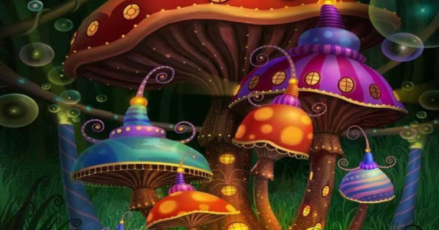 "Ciupercile magice", remediu foarte bun impotriva depresiei severe
