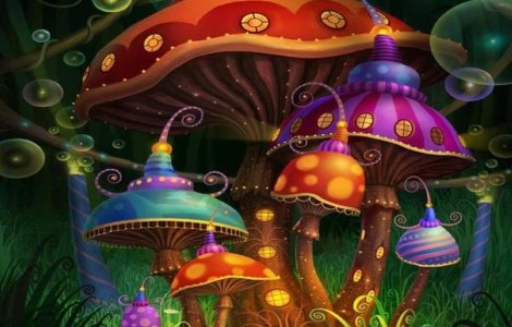 "Ciupercile magice", remediu foarte bun impotriva depresiei severe