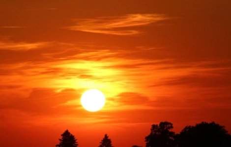 Temperatura-record, inregistrata in India: 51 de grade Celsius