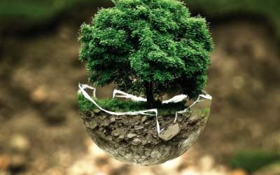 Solutia REVOLUTIONARA de a...