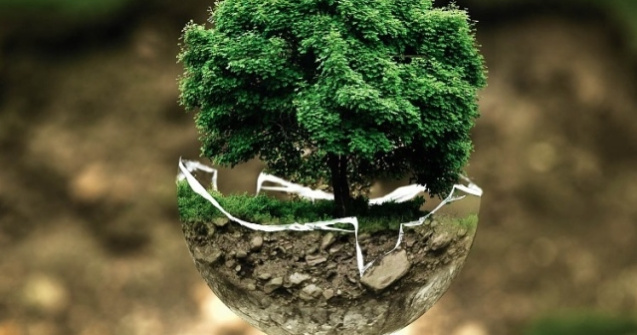 Solutia REVOLUTIONARA de a raspandi verdeata in marile orase