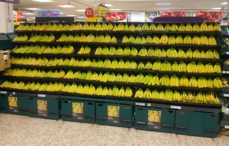  Top  Cum arata munca facuta cu pasiune si la perfectie