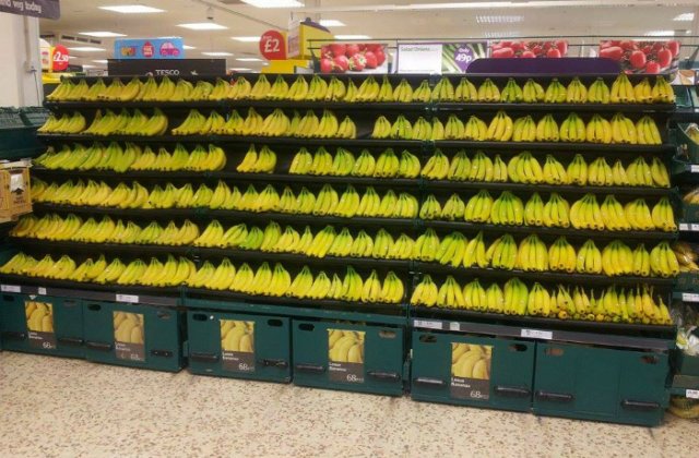 Cum arata munca facuta cu pasiune si la perfectie