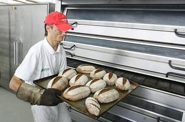 Profitul Boromir a scazut cu 12% in primul trimestru