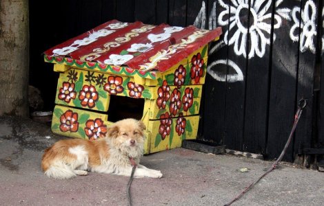  Top  Cea mai frumoasa comunitate a ramas conservata vreme de cateva secole