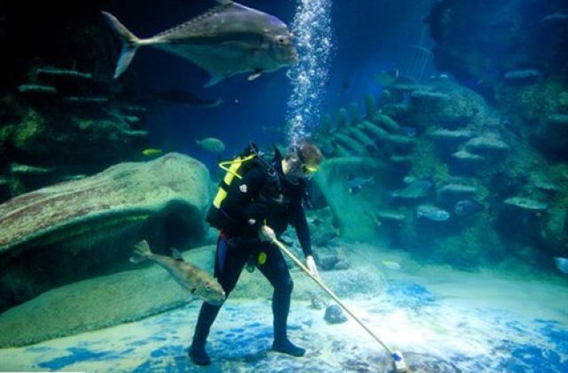 Par de domeniul fantasticului! Cele mai BIZARE meserii de pe Glob