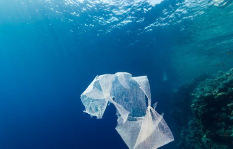 Raport ONU: plasticul biodegradabil, o minciuna?