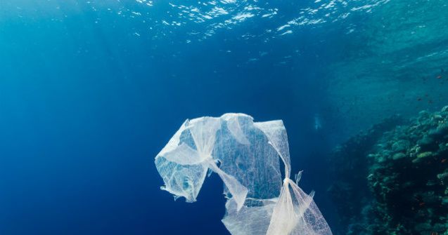 Raport ONU: plasticul biodegradabil, o minciuna?