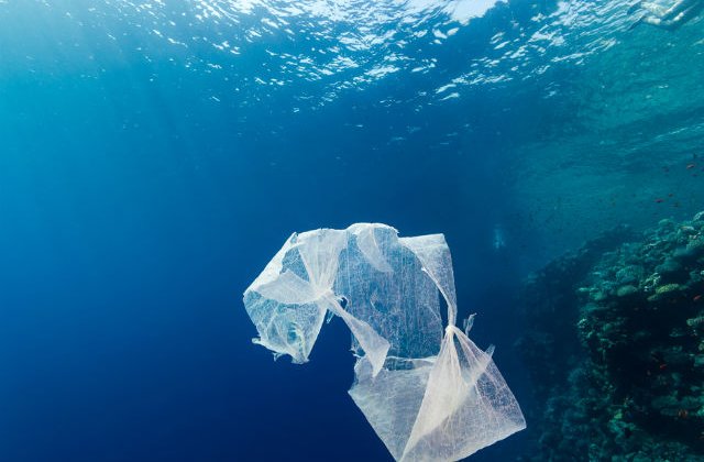 Raport ONU: plasticul biodegradabil, o minciuna?