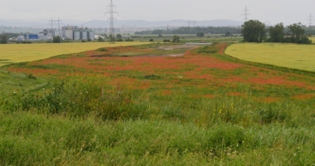 Macii au luat cu asalt lotul I al Autostrazii Sebes-Turda