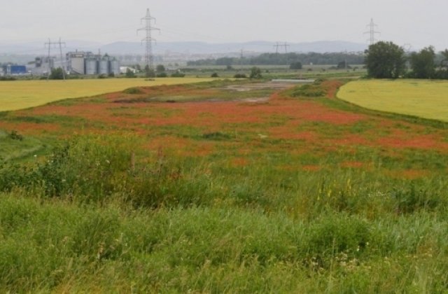 Macii au luat cu asalt lotul I al Autostrazii Sebes-Turda, lucrarile nu avanseaza