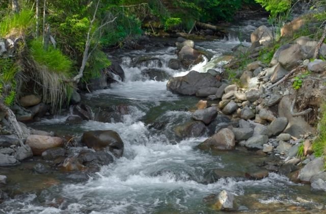 Cod galben de inundatii pe mai multe rauri din sapte judete