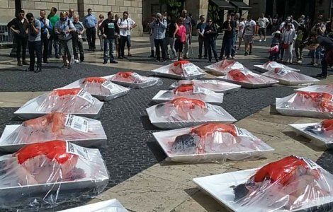 Protest inedit: s-au transformat in carne umana. Afla de ce